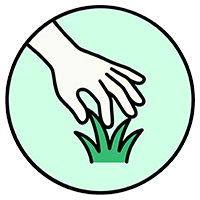 Touch Grass
